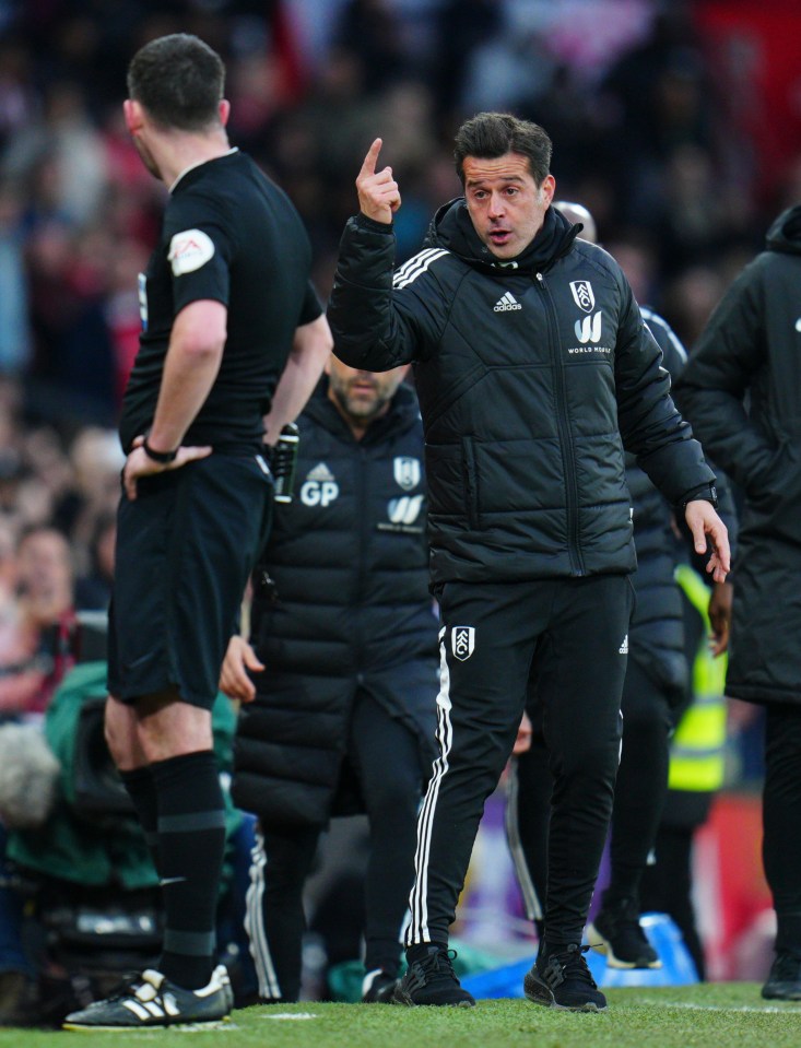 Fulham boss Marco Silva could not believe what was happening in front of him