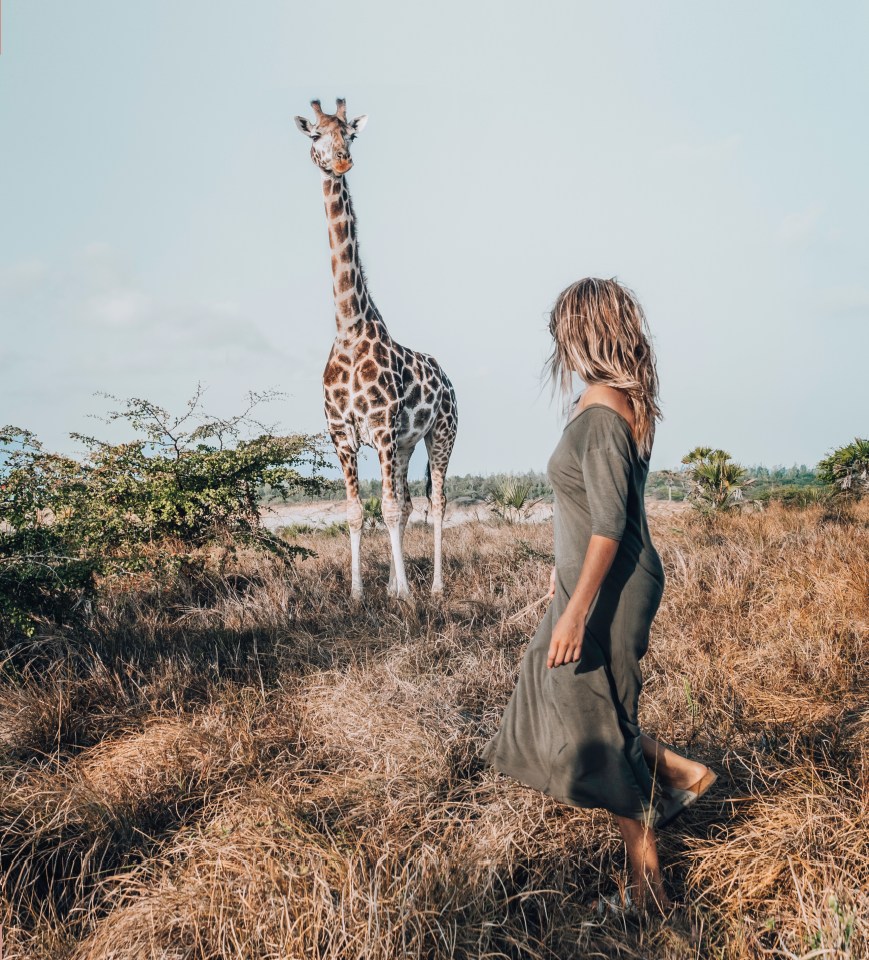 You don't have to break the bank to go on a safari in Africa