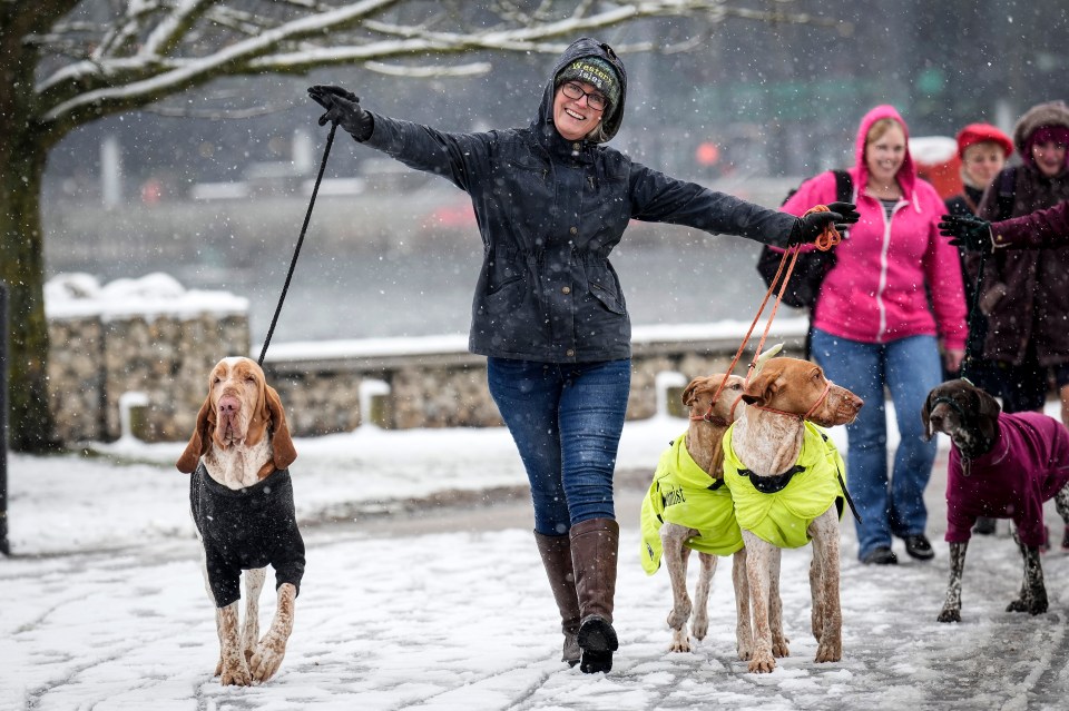 Dogs and their owners arrive in wintry weather for the first day of Crufts 2023 at the NEC Arena