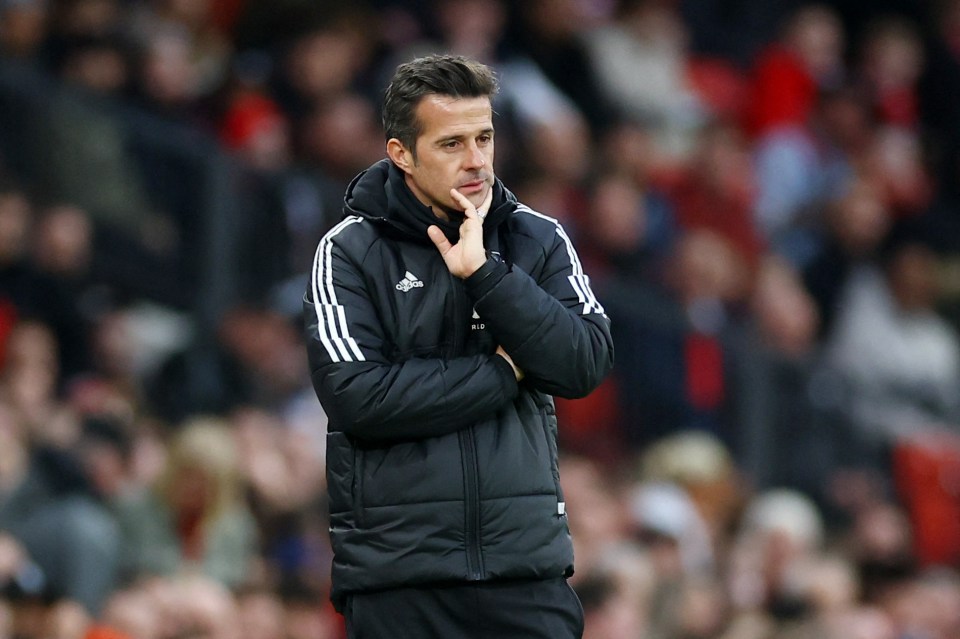 Marco Silva has impressed Spurs chiefs with his job at Fulham