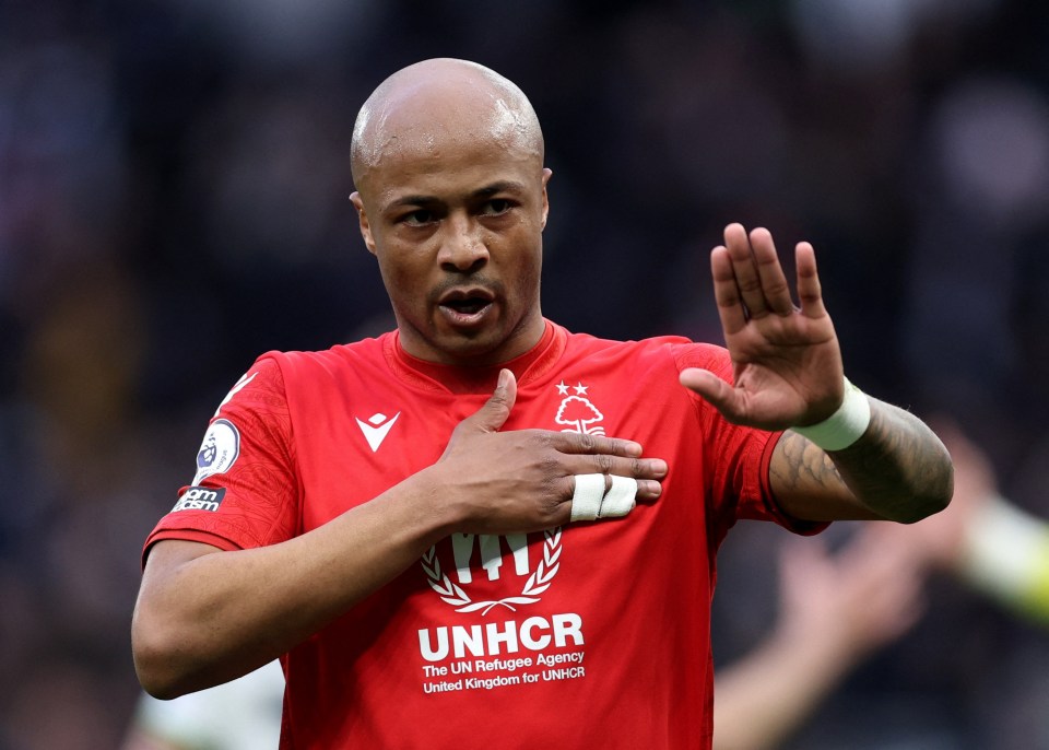 Ayew suffered a freak knee injury while on international duty