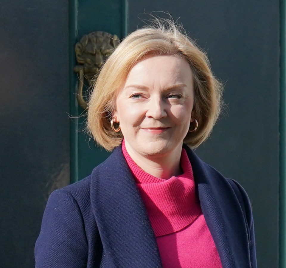 Liz Truss could be the next high-profile politician to enter the jungle