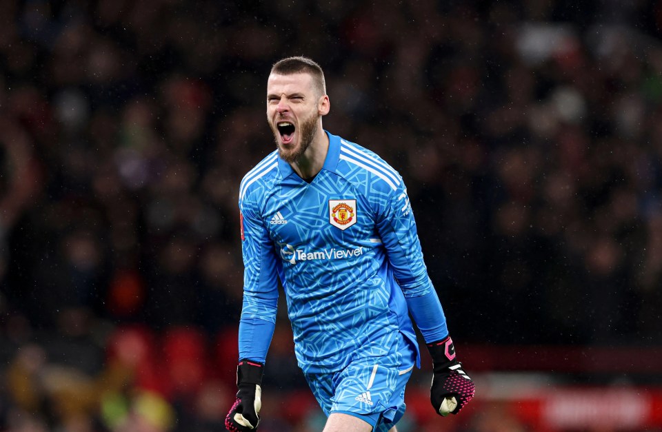 David De Gea will have to earn his new £250,000-a-week contract