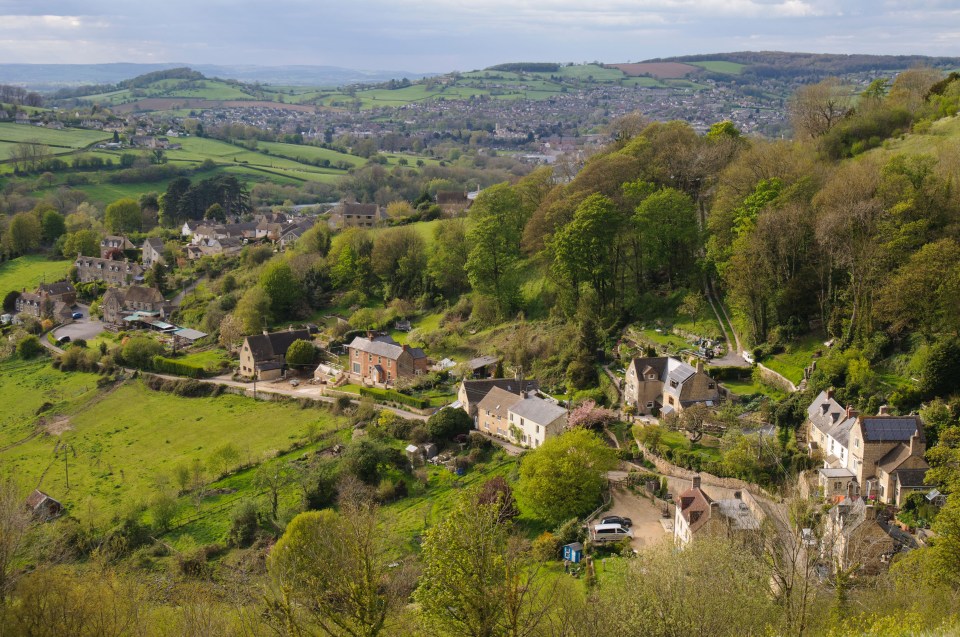 Officers were called by a resident of Rodborough Common, Gloucestershire