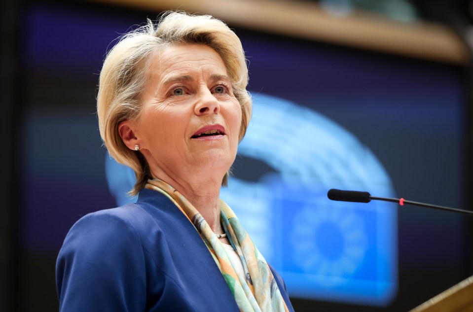 Could there be a worse person to run Nato than the EU chief Ursula von der Leyen?