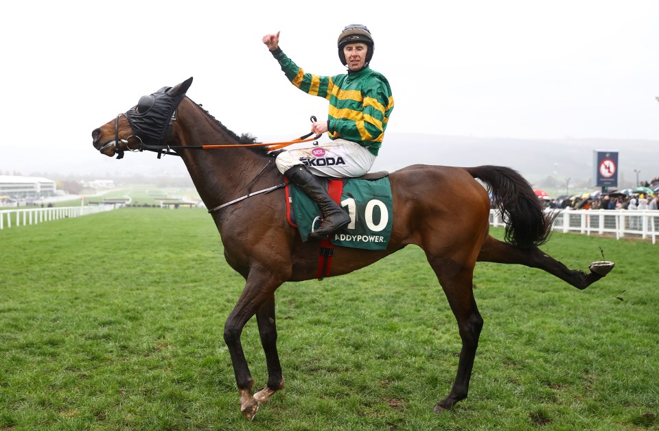 Sire Du Berlais was the shock winner of the Stayers’ Hurdle at Cheltenham Festival