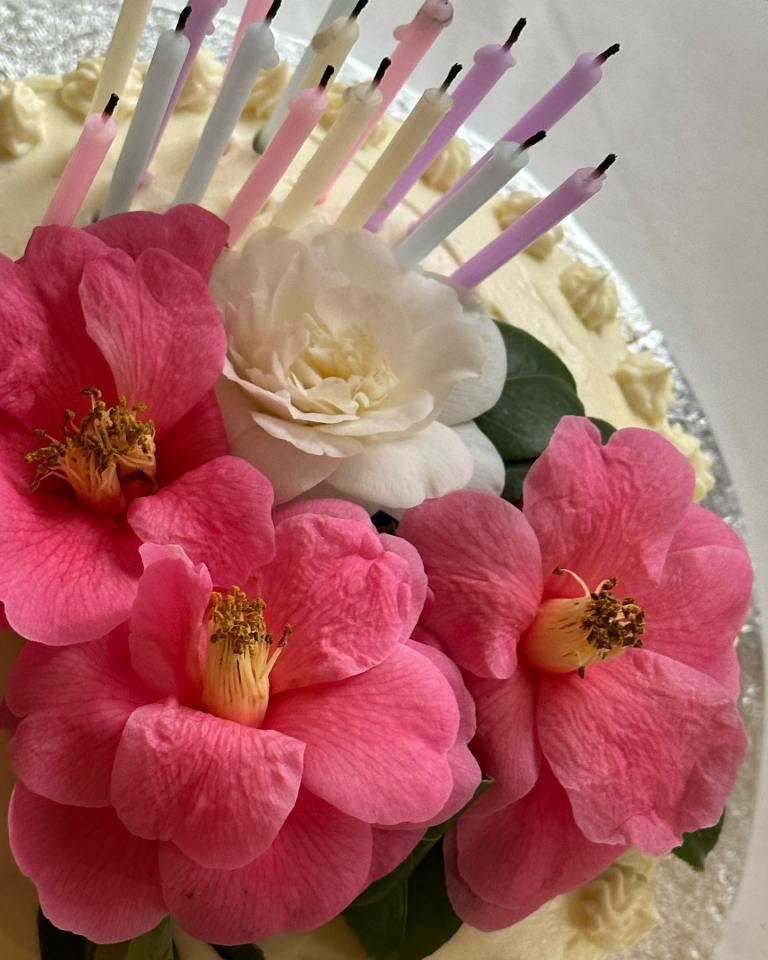 The star was treated to a beautiful cake complete with flowers