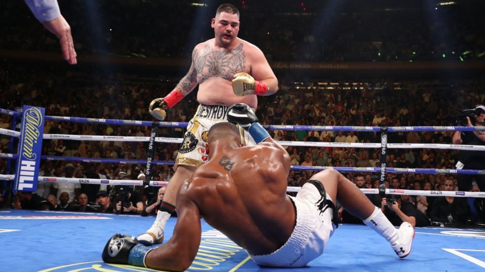 Anthony Joshua vs Andy Ruiz Jr 1