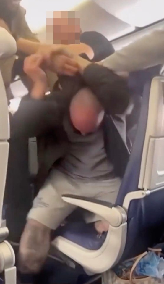 The two men became embroiled in a brawl on the flight to Phoenix, US