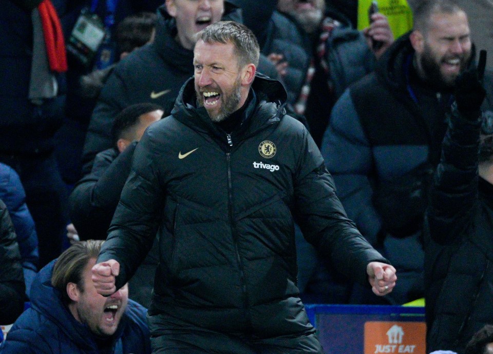 Graham Potter was delighted as his side reached the next stage