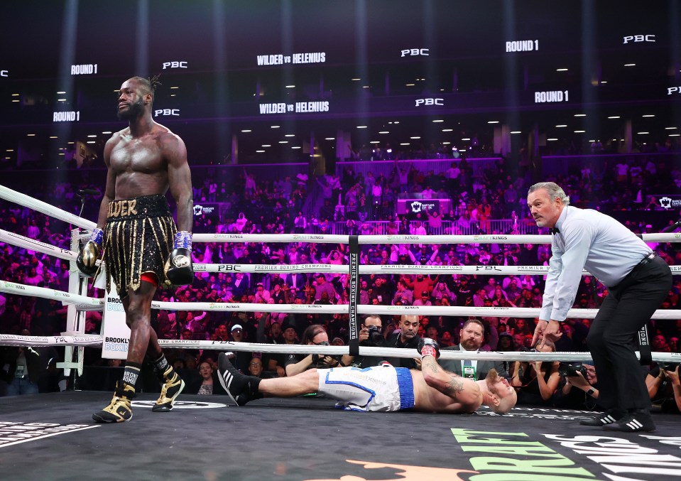 Wilder beat Robert Helenius in the first round last year as he bounced back from back-to-back Fury defeats