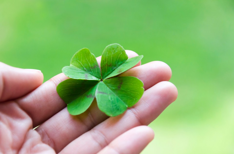 Irish people still consider a four-leaf clover the ultimate lucky charm