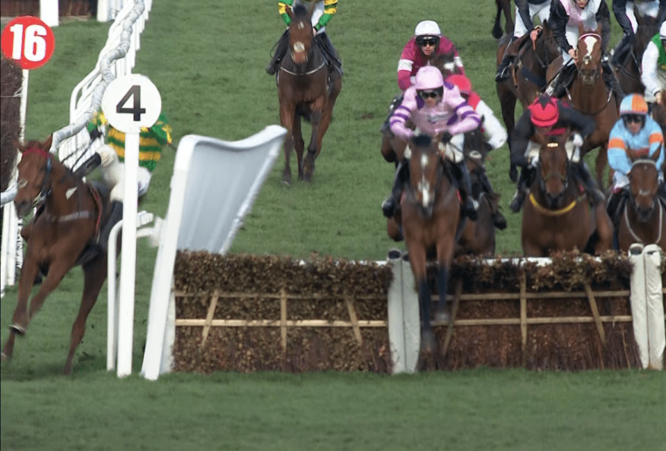 This is the horror moment Corbetts Cross smashed through the wing of the final hurdle