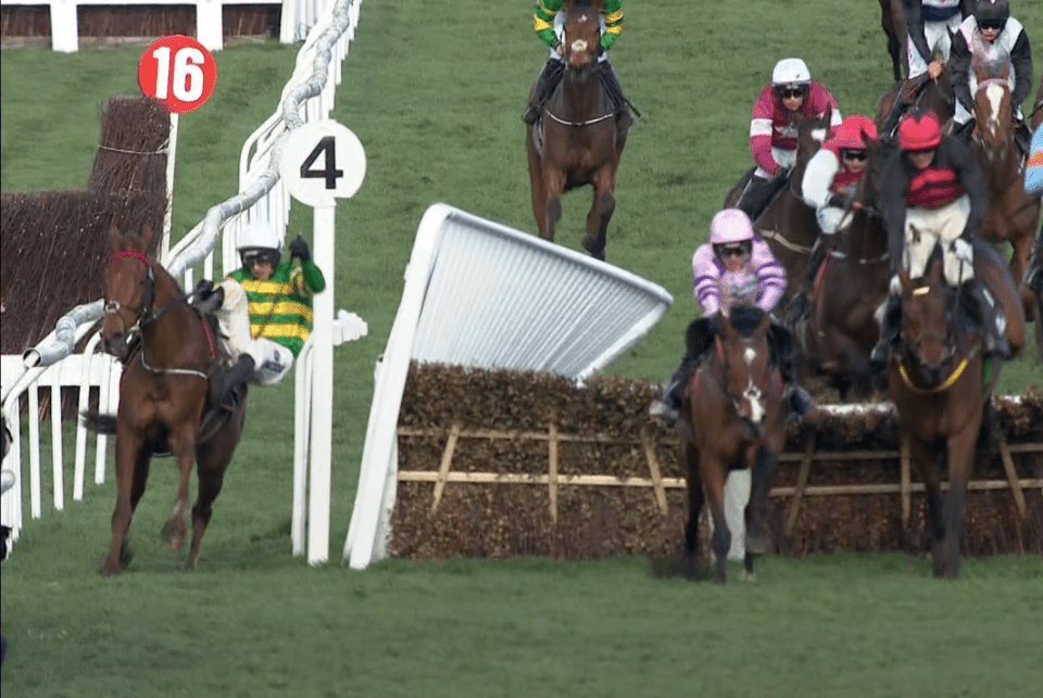 Walsh had nowhere to go but down after his horse jumped outside the hurdle