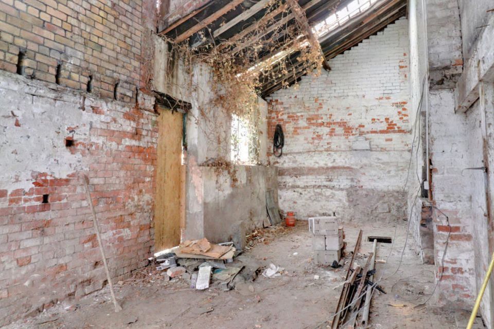 The 'feral' property has an unfinished roof and plants growing inside it