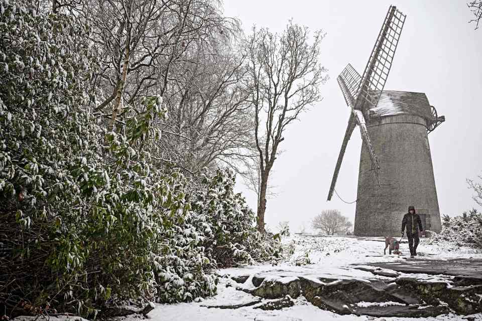 A dog walker braves the snow as he walks past Bidston Windmill, on Bidston Hill, near Birkenhead