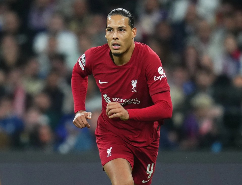 Virgil van Dijk was a back up option for Spurs