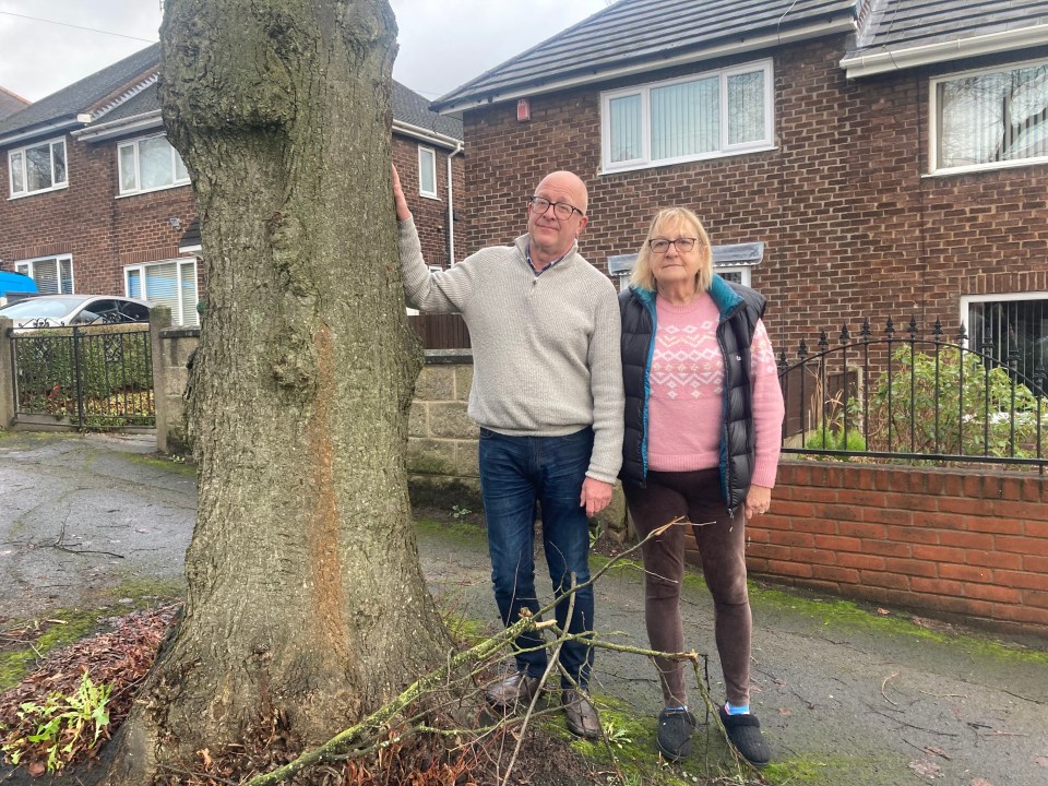 Martin Jones and his wife Sue say the trees are out of control and dangerous