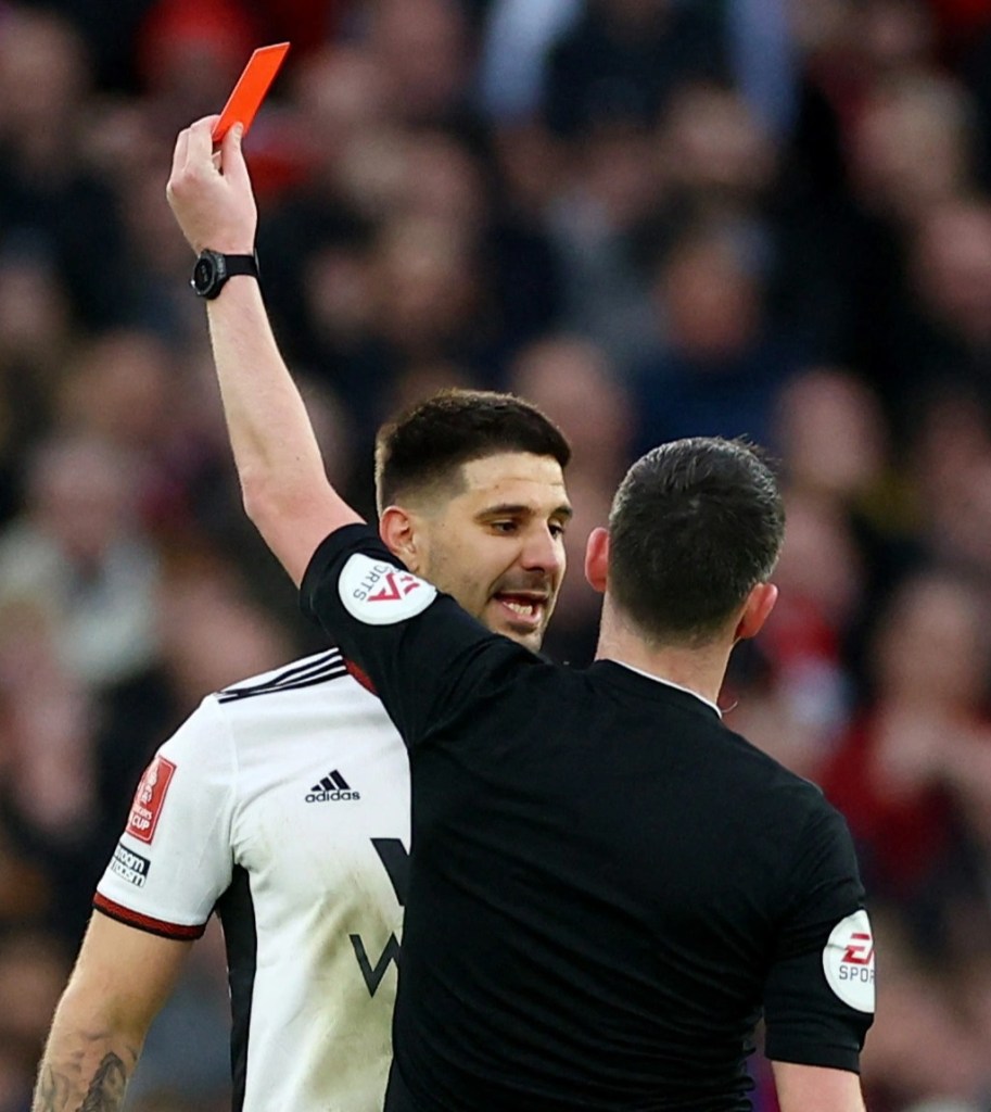 Mitrovic could be banned for up to ten games