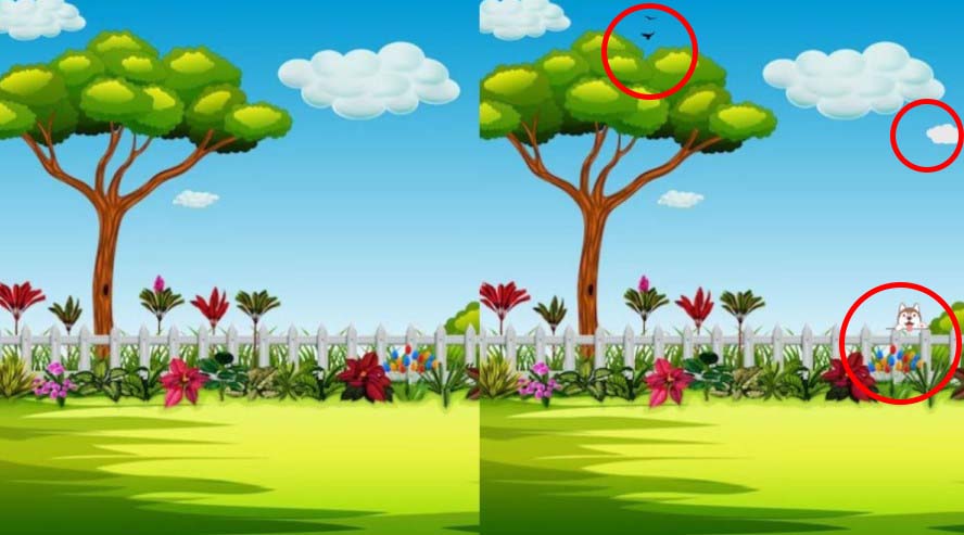 Spot the difference: Only a genius can find the 3 differences in less than 15 seconds!