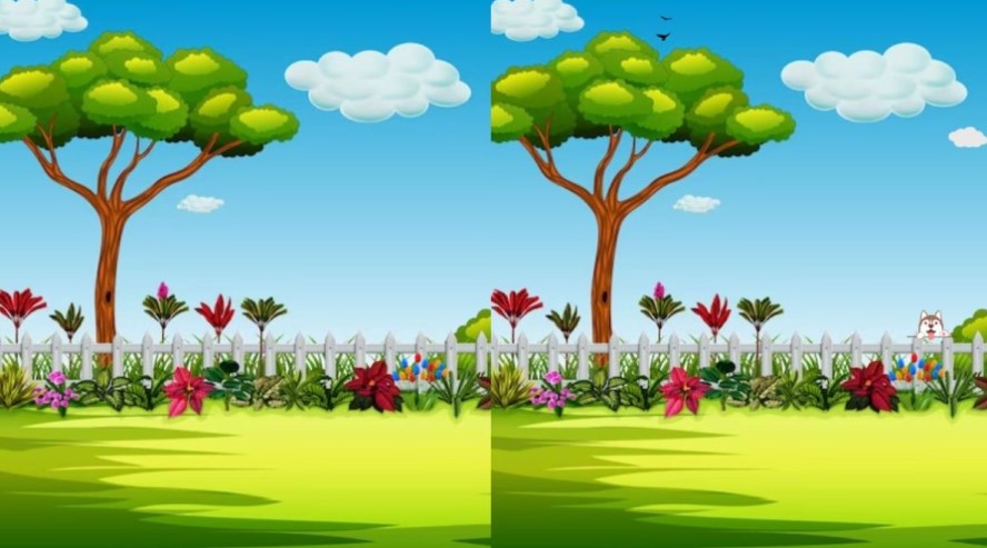 Can you spot the three differences within 10 seconds?