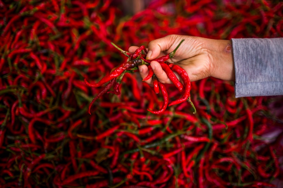 There are enough chillies here to ward off a biblical plague of rats