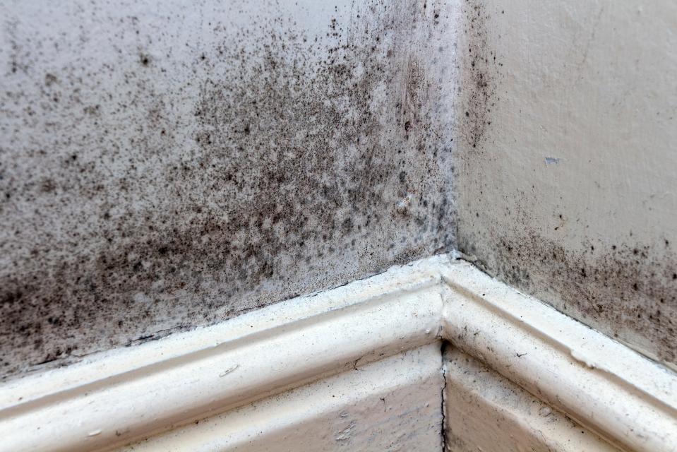 Condensation and mould in your home can be a real cause for concern