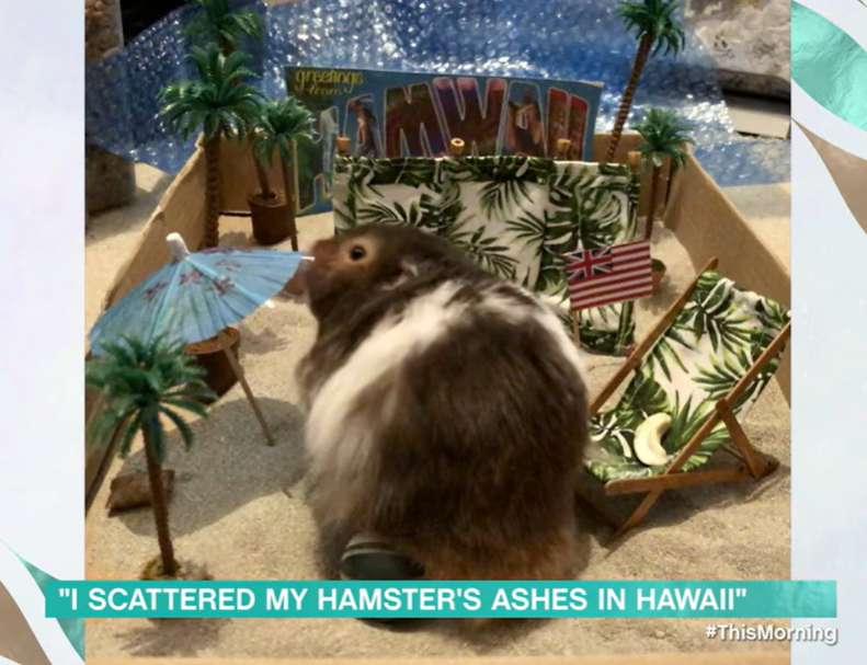 Spud was a huge fan of Hawaii