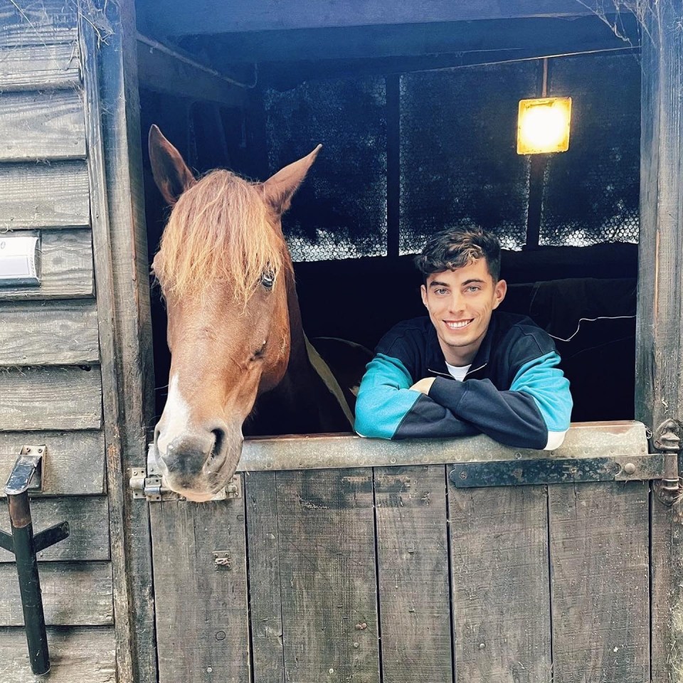 Havertz has started his own charity to help people and animals