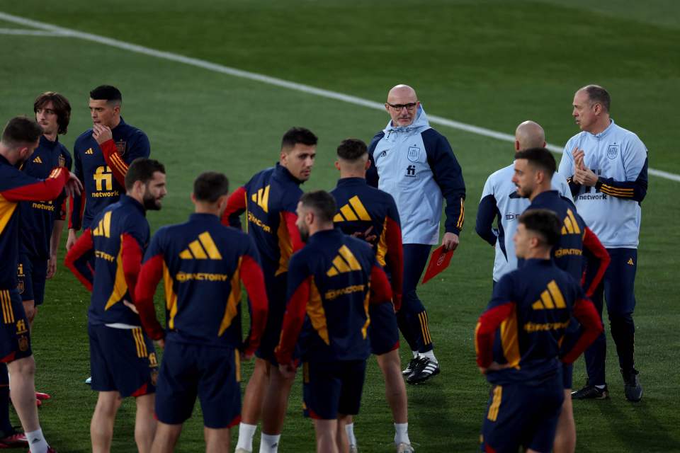 New Spain boss Luis de la Fuente faces a tough task healing a divided camp