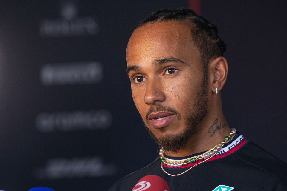 Mercedes star Lewis Hamilton insists he will not retire from Formula One