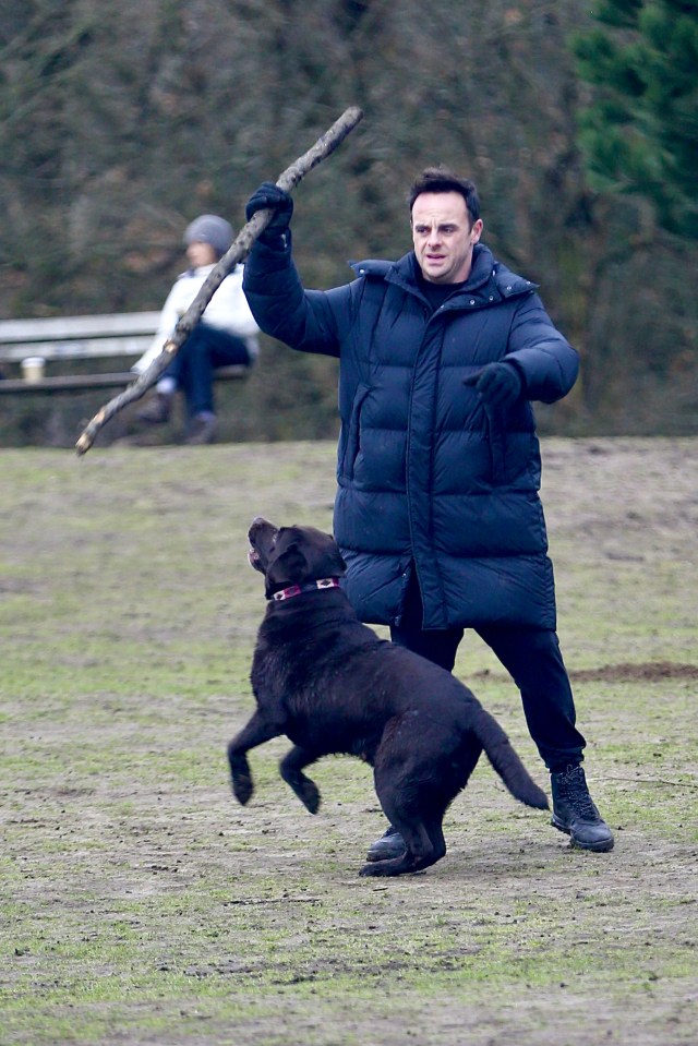 Ant McPartlin and ex Lisa Armstrong share custody of their dog Hurley