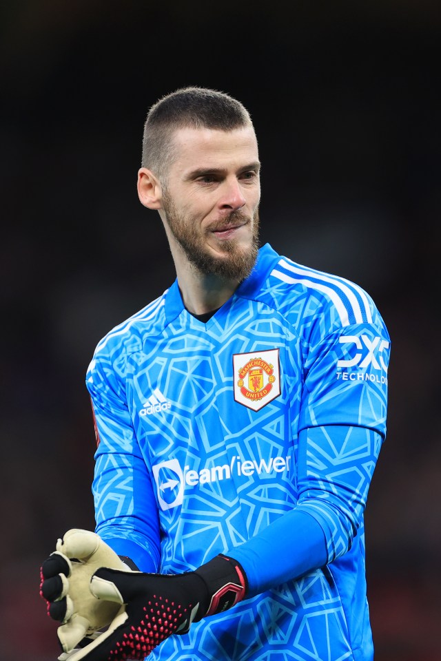 Manchester United keeper David de Gea will have to accept a lower salary