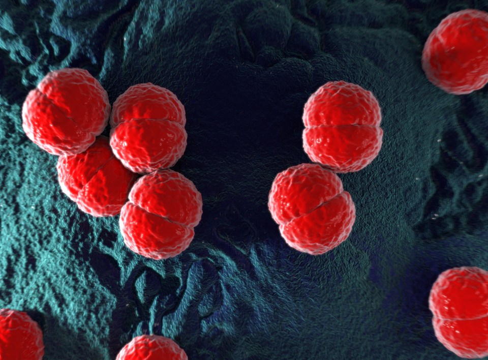 Around 8,000 people a year were diagnosed with meningitis before the Covid pandemic, although numbers reduced in 2020 and 2021 because of social distancing