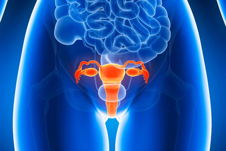 Cervical cancer is found in the opening between your vagina and womb