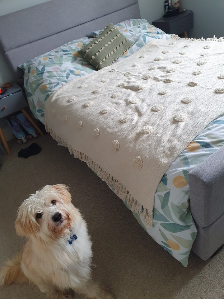 Her dog's mucky paws aren't allowed on the bed