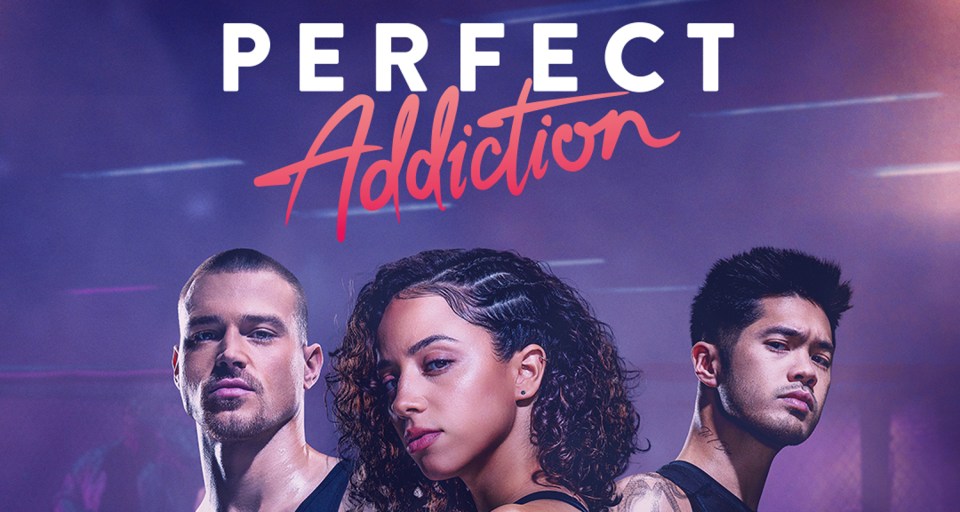 Yes, it’s as cheesy as it sounds but if you’re after a guilty-pleasure steamy action movie, Perfect Addiction – an adaptation of the hit novel – will land a knockout punch