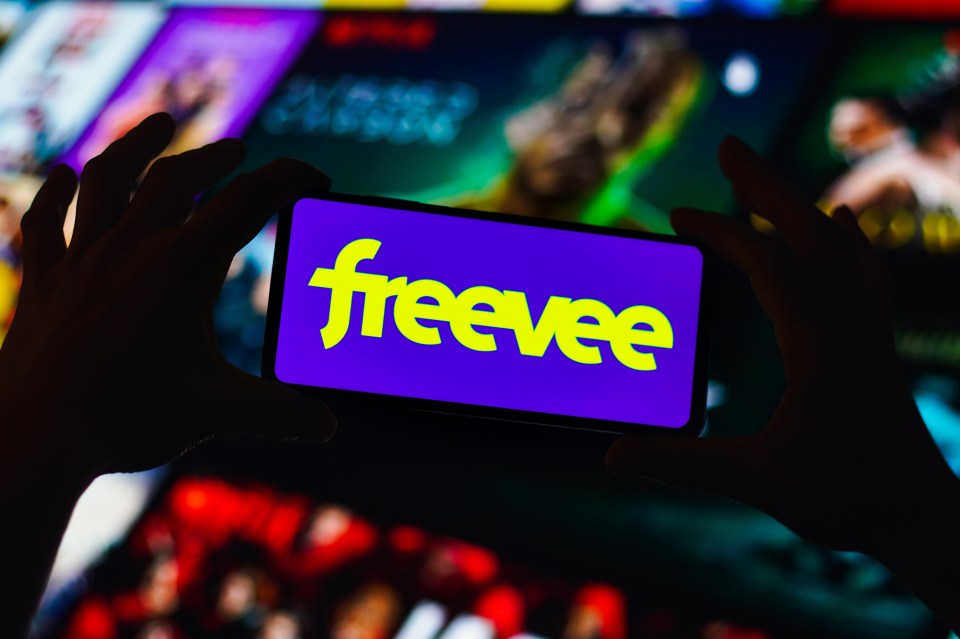 Freevee is owned by Amazon