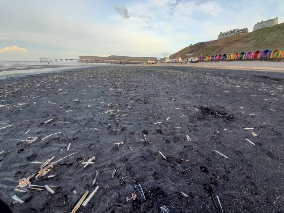 Hundreds of dead sea creatures have washed up on the beach in Saltburn