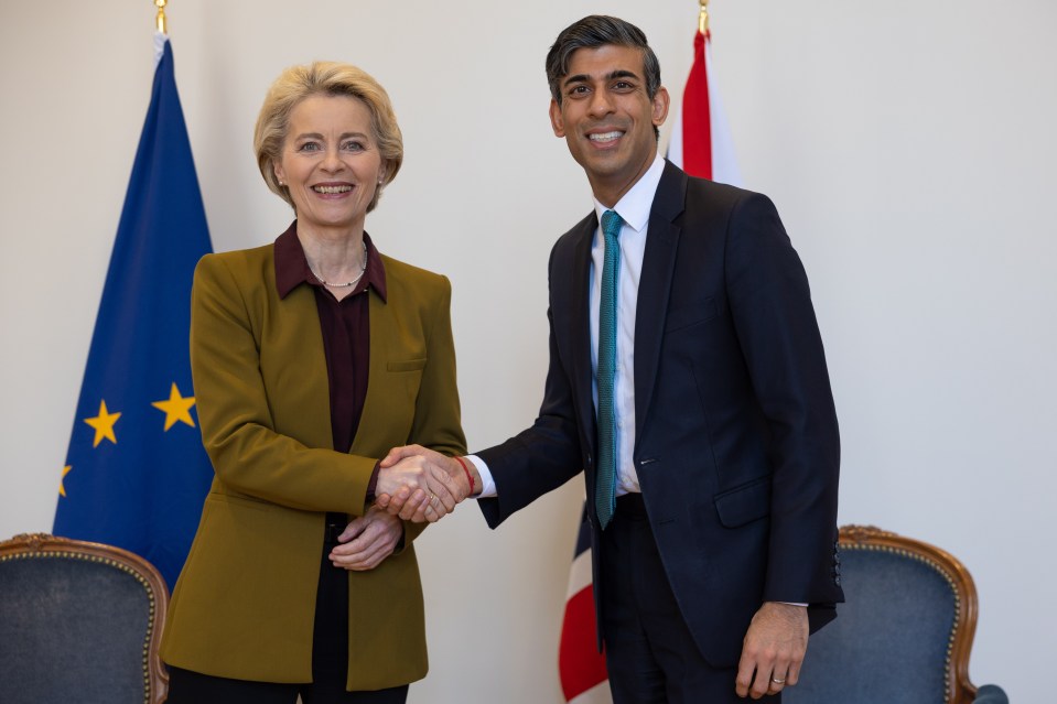 Rishi Sunak and Ursula von de Leyen shake hands after agreeing the Windsor deal