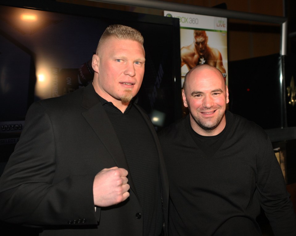 UFC president Dana White believes Brock Lesnar's MMA career is over