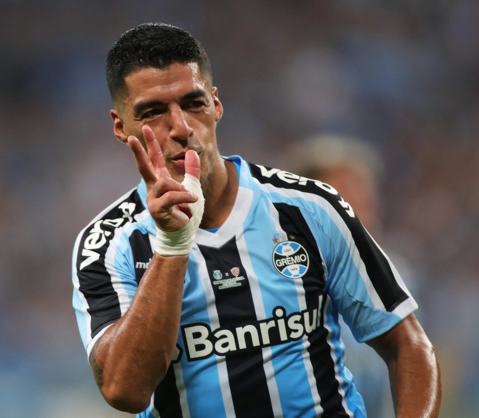 Luis Suarez now plays for Gremio in Brazil