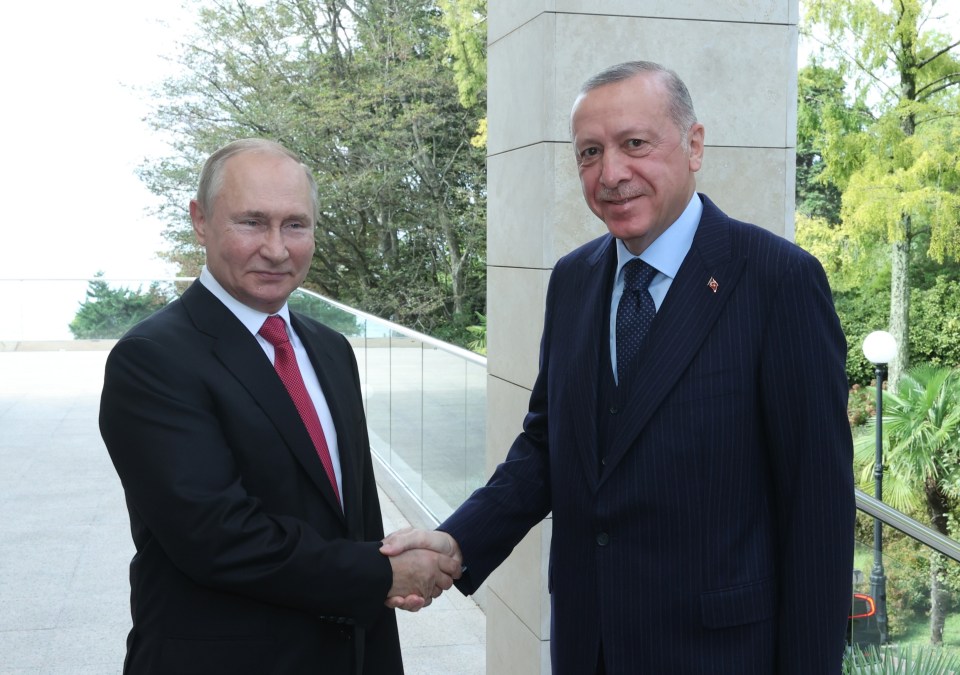 The Turkish president is due to meet with his Russian counterpart Vladimir Putin