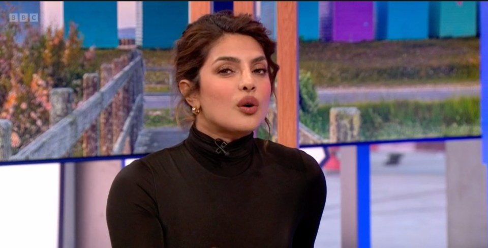 Priyanka kept her cool during the interview but viewers were annoyed for her