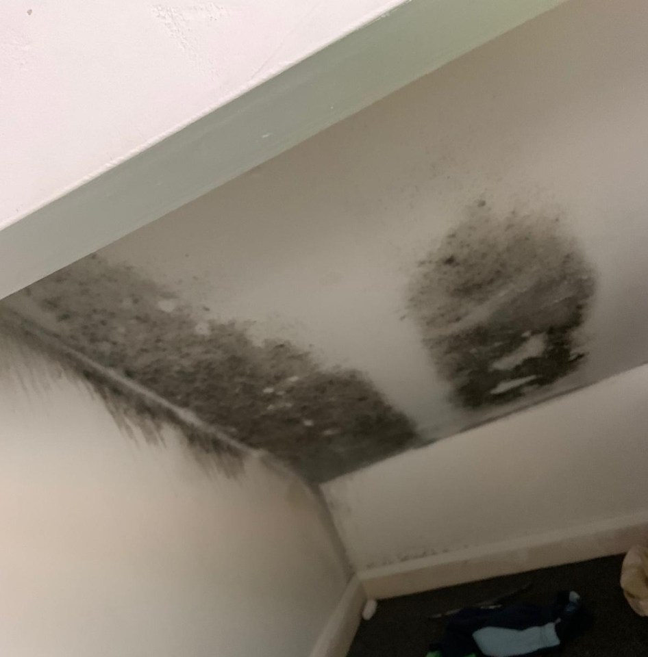 Patches of mould appeared in the bedrooms