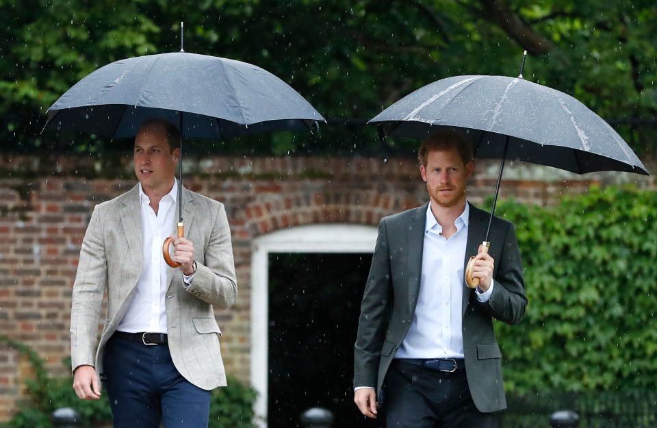 Prince William, left, and Prince Harry were pictured walking together