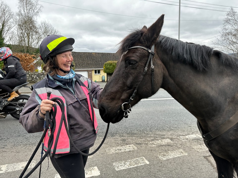 Helen Williams, 50, said she has to take care when out on the roads with her horses