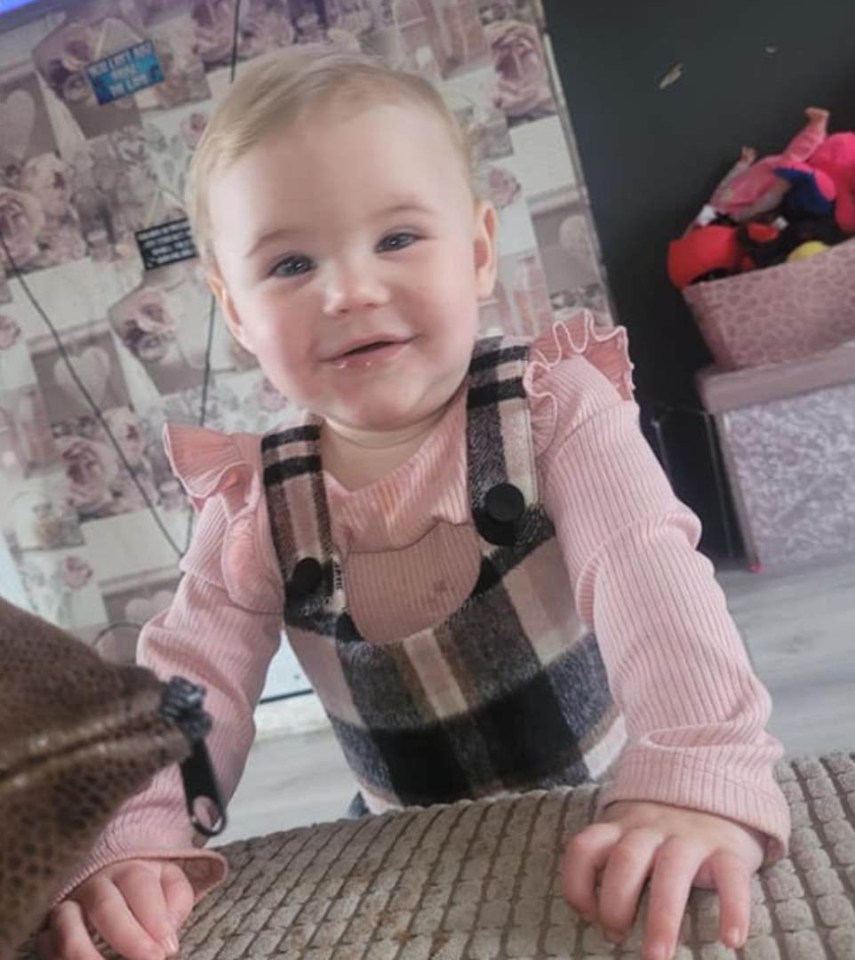 The youngest victim was Bella Rae-Birch, just 17-months when a family dog - bought a week before the attack - savaged her to death