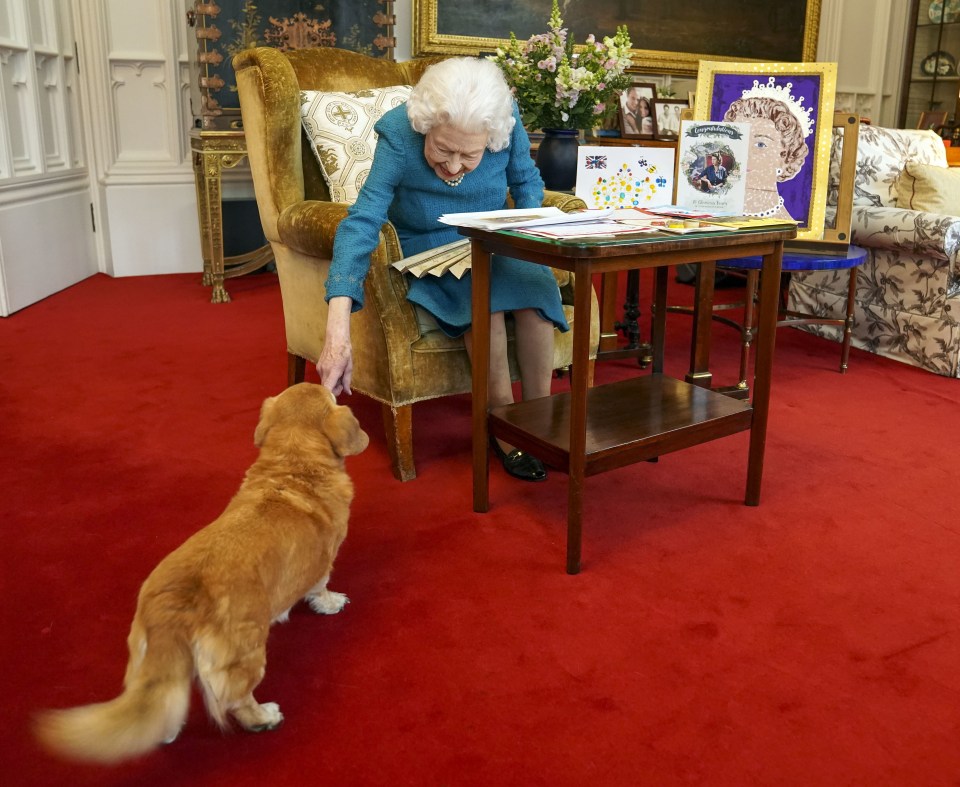 He even tried to get the late Queen to adopt a stricken Corgi when she visited the charity