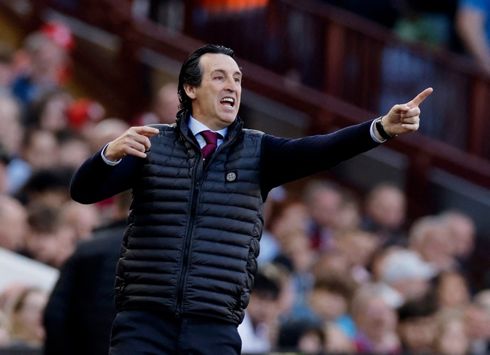 Unai Emery has done a superb job since taking over at Aston Villa